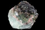 Sphalerite Flower Clusters and Marcasite Association - Missouri #96368-1